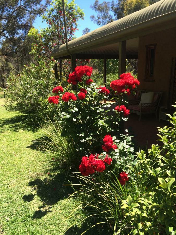 Wildwood Guesthouse Mudgee Exterior foto
